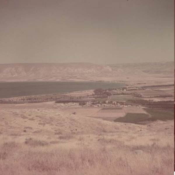 صورة نادرة لقرية الطنطورة بعد المجرزة عام 1948 صورة نادرة لقرية الطنطورة بعد المجرزة عام 1948