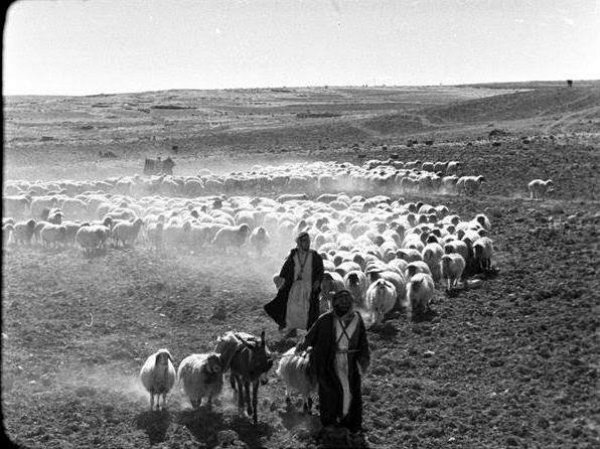 | موسوعة القرى الفلسطينية  | موسوعة القرى الفلسطينية