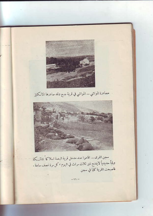 مصادرة المواشي في البصة واسلاك شائكة في البصة مصادرة المواشي في البصة واسلاك شائكة في البصة