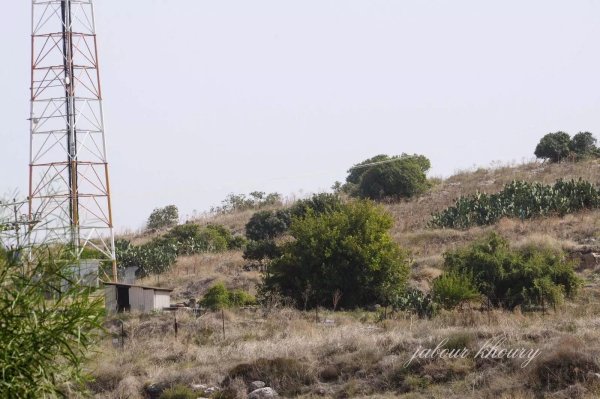  | موسوعة القرى الفلسطينية