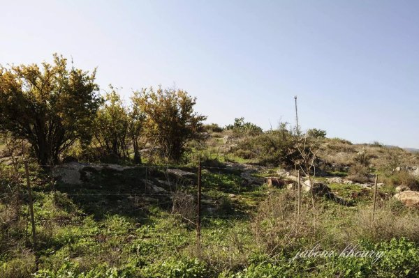  | موسوعة القرى الفلسطينية