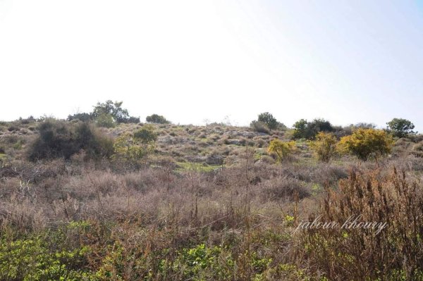  | موسوعة القرى الفلسطينية