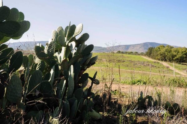  | موسوعة القرى الفلسطينية