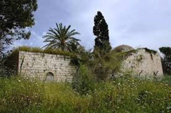  | موسوعة القرى الفلسطينية