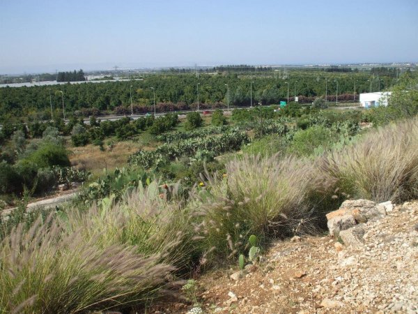 | موسوعة القرى الفلسطينية  | موسوعة القرى الفلسطينية