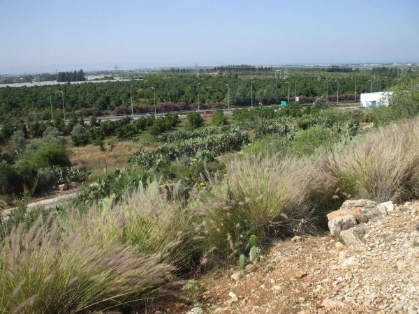 | موسوعة القرى الفلسطينية  | موسوعة القرى الفلسطينية