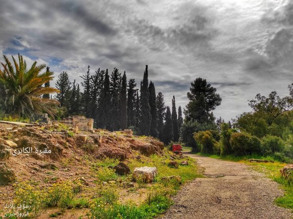 | موسوعة القرى الفلسطينية  | موسوعة القرى الفلسطينية
