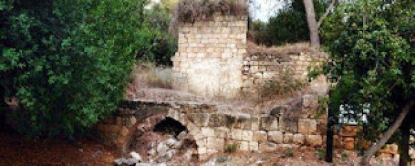 | موسوعة القرى الفلسطينية  | موسوعة القرى الفلسطينية
