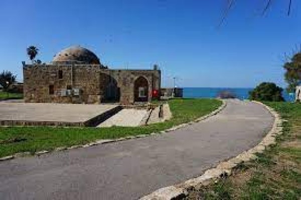 | موسوعة القرى الفلسطينية  | موسوعة القرى الفلسطينية