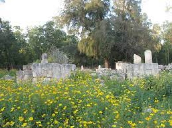 | موسوعة القرى الفلسطينية  | موسوعة القرى الفلسطينية