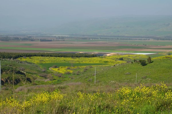  | موسوعة القرى الفلسطينية