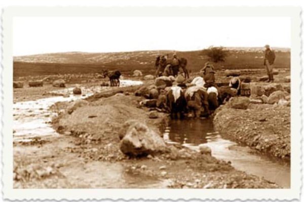 صورة قديمة لسكان قرية كراد البقارة على نبع يردا القريب من تل أبو الريش .. صورة قديمة لسكان قرية كراد البقارة على نبع يردا القريب من تل أبو الريش ..