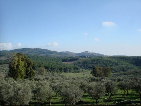  | موسوعة القرى الفلسطينية