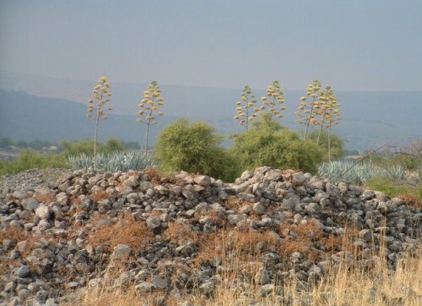  | موسوعة القرى الفلسطينية