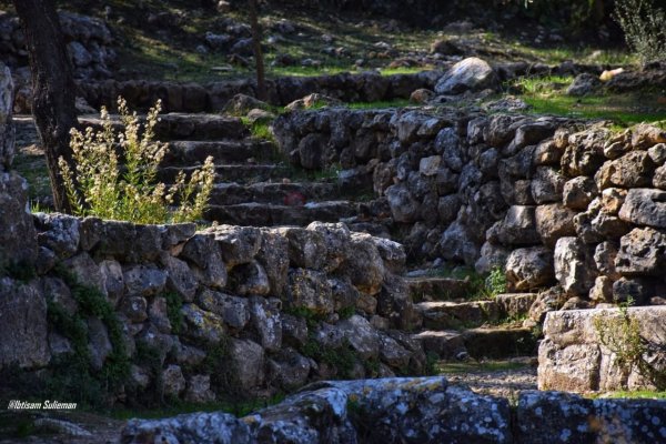 | موسوعة القرى الفلسطينية  | موسوعة القرى الفلسطينية
