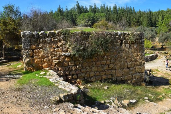 | موسوعة القرى الفلسطينية  | موسوعة القرى الفلسطينية