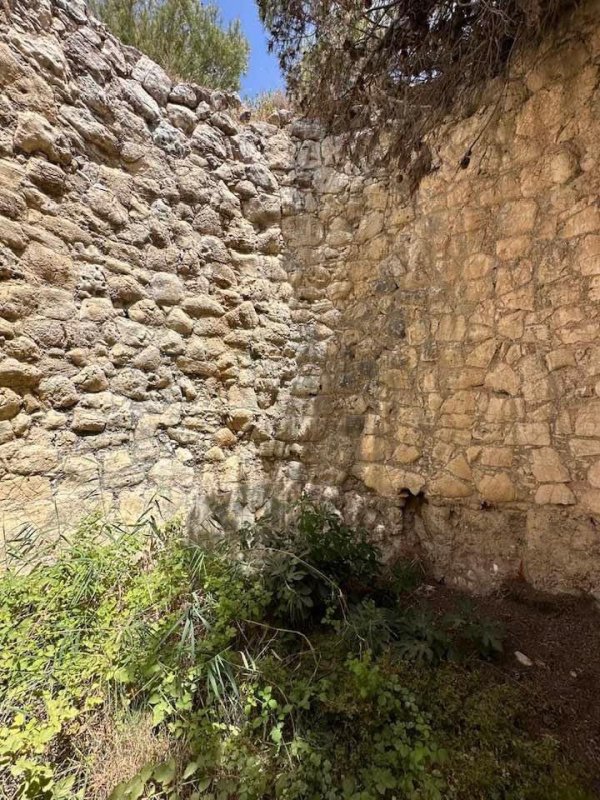 | موسوعة القرى الفلسطينية  | موسوعة القرى الفلسطينية