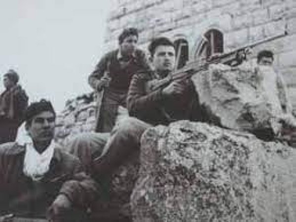 مجاهدو القسطل مجاهدو القسطل