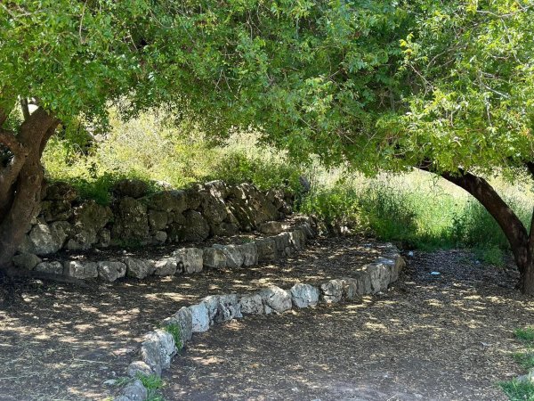 | موسوعة القرى الفلسطينية  | موسوعة القرى الفلسطينية