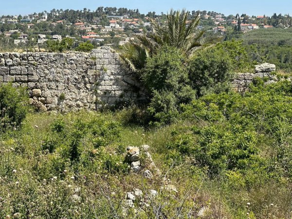 | موسوعة القرى الفلسطينية  | موسوعة القرى الفلسطينية