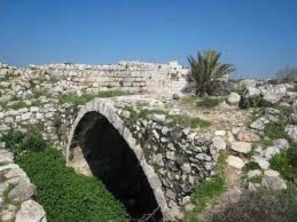 | موسوعة القرى الفلسطينية  | موسوعة القرى الفلسطينية