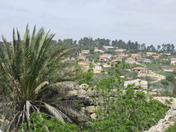 | موسوعة القرى الفلسطينية  | موسوعة القرى الفلسطينية