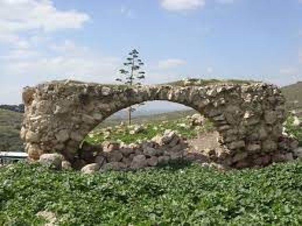 | موسوعة القرى الفلسطينية  | موسوعة القرى الفلسطينية
