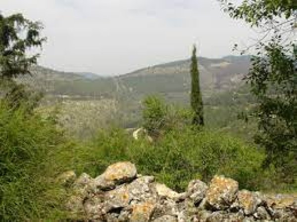  | موسوعة القرى الفلسطينية