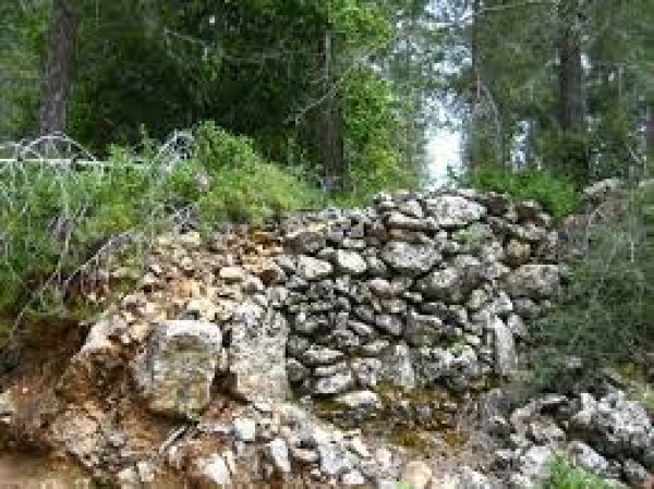  | موسوعة القرى الفلسطينية