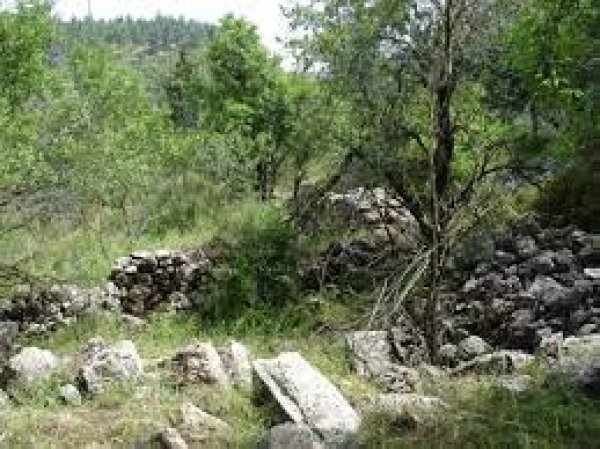  | موسوعة القرى الفلسطينية