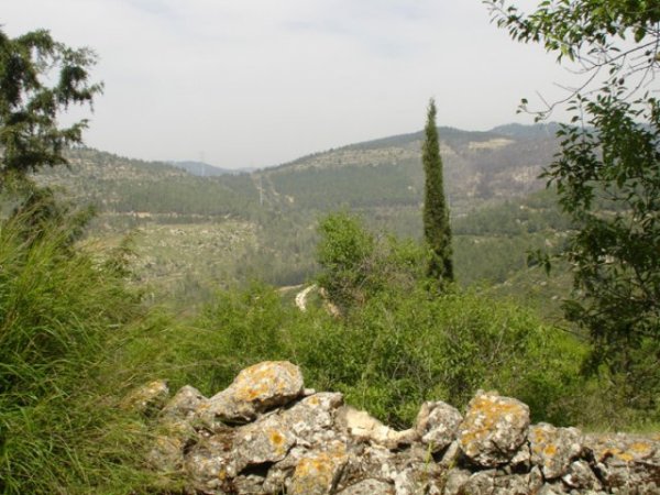  | موسوعة القرى الفلسطينية