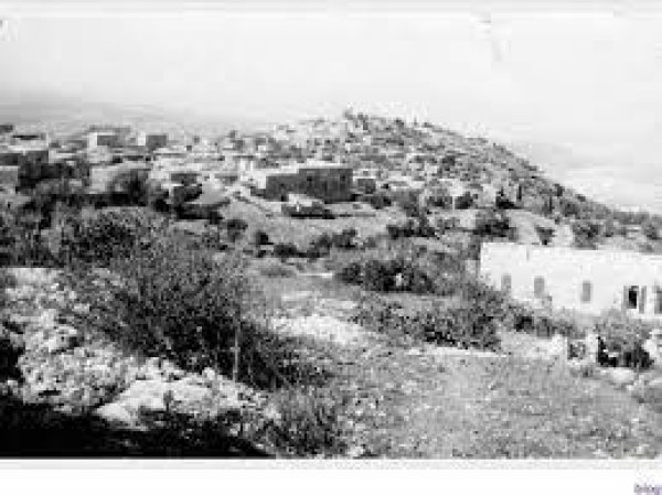 قرية ساريس / القدس قرية ساريس / القدس