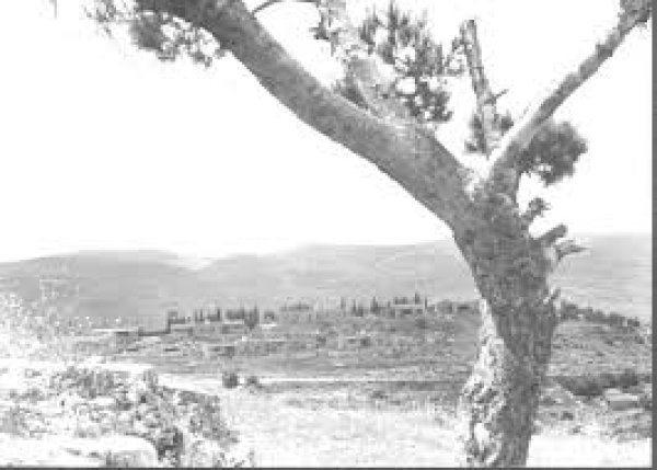 قرية ساريس / القدس قرية ساريس / القدس