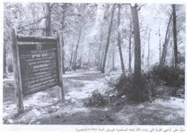 قرية ساريس / القدس قرية ساريس / القدس