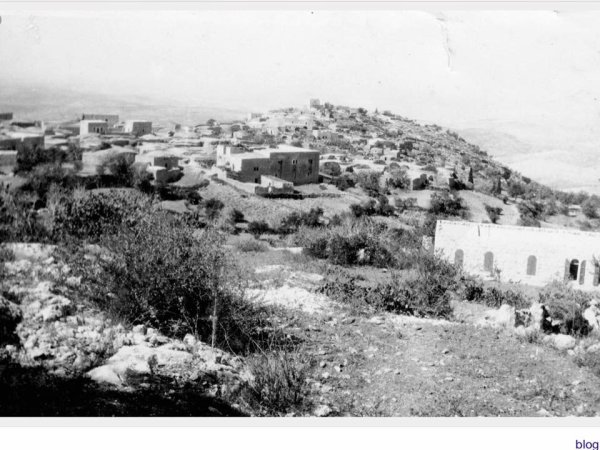 بيوت ساريس قبل النكبة بيوت ساريس قبل النكبة