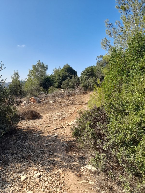  | موسوعة القرى الفلسطينية