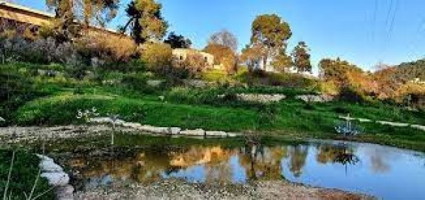  | موسوعة القرى الفلسطينية