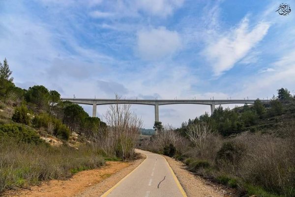  | موسوعة القرى الفلسطينية