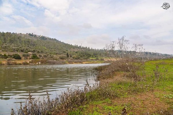  | موسوعة القرى الفلسطينية