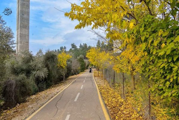  | موسوعة القرى الفلسطينية