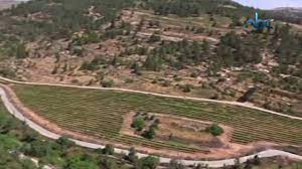  | موسوعة القرى الفلسطينية