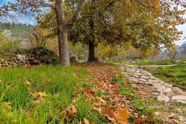  | موسوعة القرى الفلسطينية