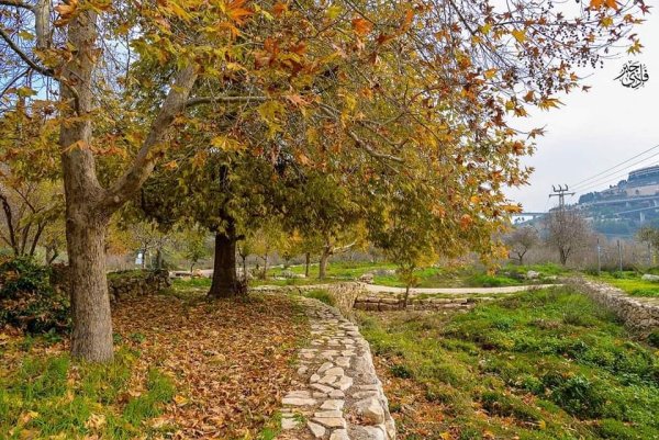  | موسوعة القرى الفلسطينية