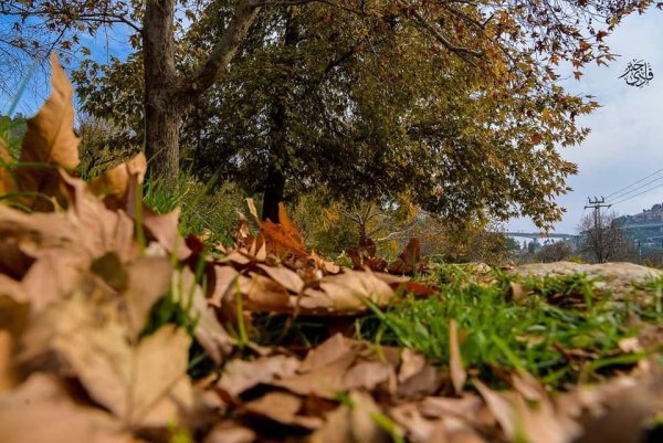  | موسوعة القرى الفلسطينية