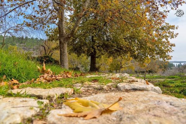  | موسوعة القرى الفلسطينية