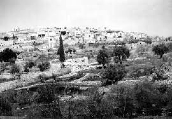 قرية قالونيا قرية قالونيا