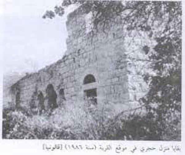 قرية قالونيا قرية قالونيا