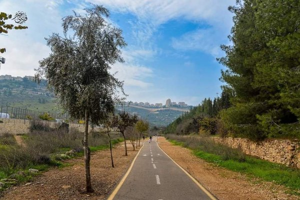  | موسوعة القرى الفلسطينية