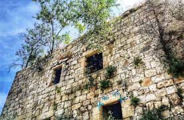 قرية لفتا المهجرة