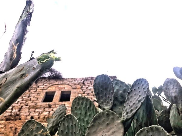  | موسوعة القرى الفلسطينية